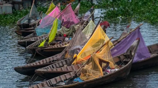 মশার উপদ্রব বৃদ্ধিতে অতিষ্ঠ সাধারণ মানুষ (ফাইল ছবি)