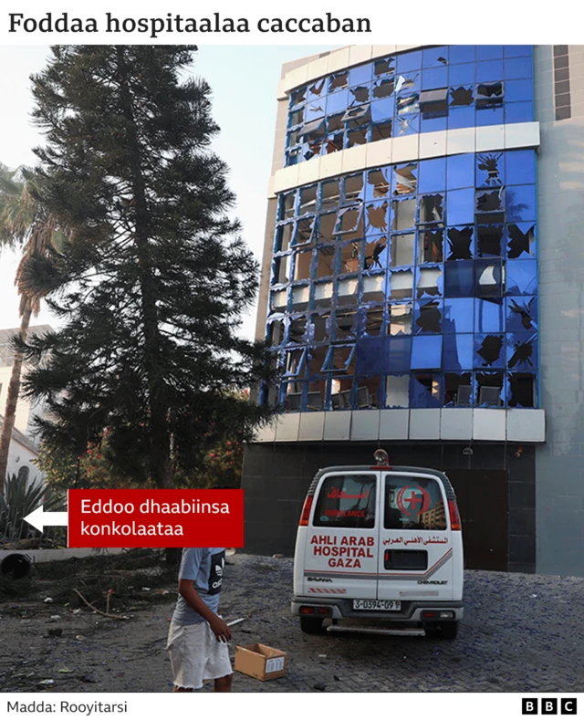 Foddaa dho'insa qaqqabeen manca'e