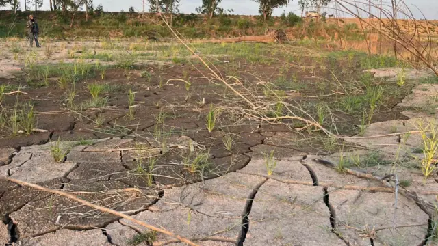 ਅੰਮ੍ਰਿਤਸਰ