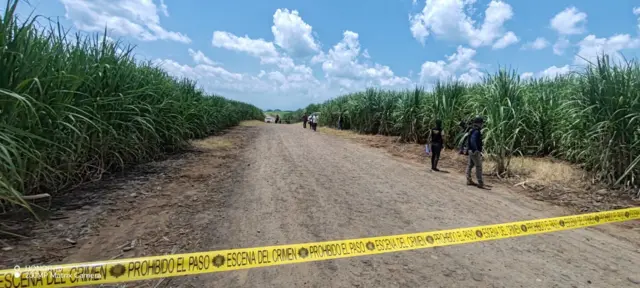 Miembros de la Policía Nacional Civil en medio de una calle de tierra que divide un cañaveral, precintada con cinta amarilla, en Retalhuleu, Guatemala, el 21 de julio de 2026.