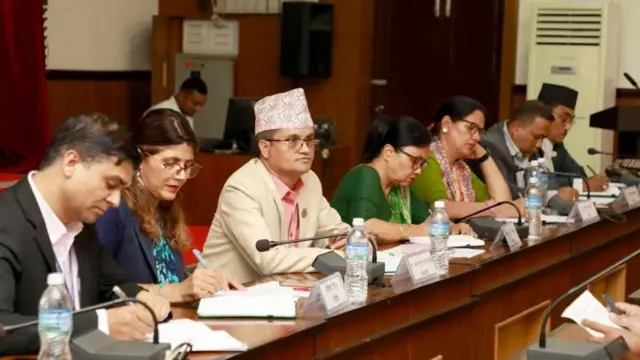 सहकारी संस्थाहरूमा बचत अपचलनको छानबिनका लागि गठन भएको संसदीय समिति