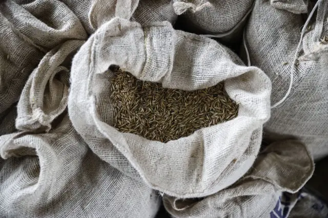 બીબીસી ગુજરાતી જીરું ગુજરાત રાજસ્થાન ખેતી ખેડૂત શિયાળુ પાક વાવેતર જીરાના ભાવ