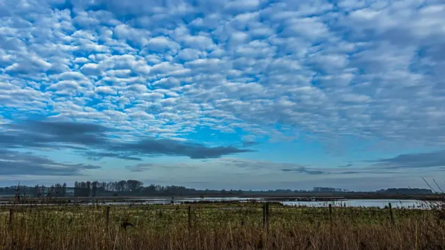 La cámara observa la marisma. Arriba, en el cielo, se desplazan pequeñas nubes, muy juntas.