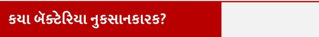ક્યા બૅક્ટેરિયા નુકસાનકારક? રસોડા કિચનના સ્પંજ બ્રશમાં બૅક્ટેરિયા, કિચનની સફાઈ ટીપ્સ, કિચનનું સ્પંજ ક્યારે બદલવું જોઈએ કેવી રીતે સાફ રાખવું જોઈએ, બીબીસી ગુજરાતી સાથે સમજો, બીબીસી ન્યૂઝ ગુજરાતી 