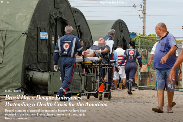  Brazil Has a Dengue Emergency, Portending a Health Crisis for the Americas