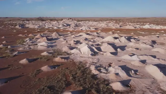 కూబర్ పెడీ