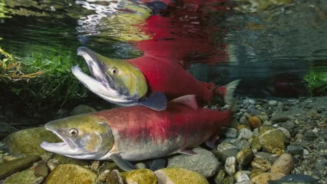 Gianna Michaels Twitter