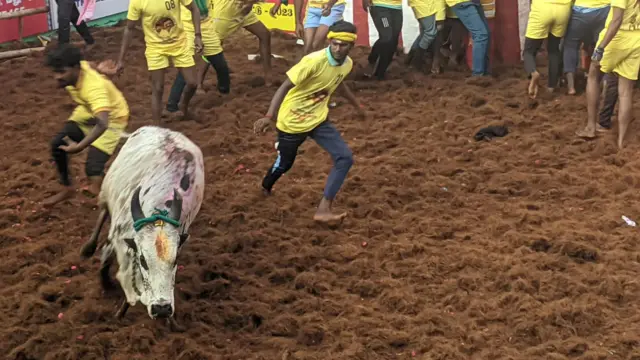 அலங்காநல்லூர் ஜல்லிக்கட்டு