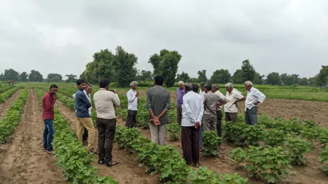 શ્રી દાદા લાડ કપાસ પદ્ધતિ અપનાવનારા ખેડૂત ગિરીશભાઈ પટેલ