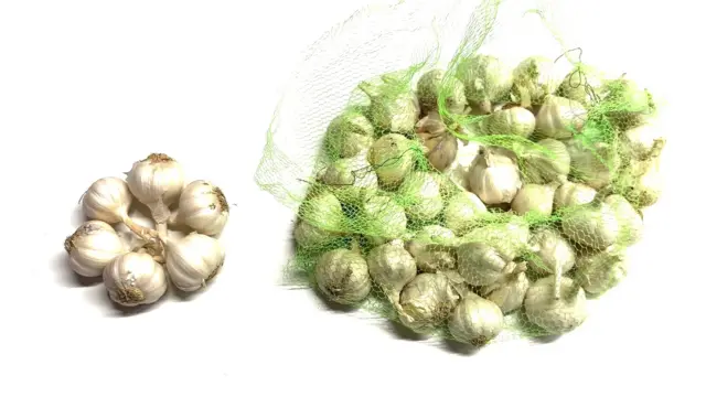 একটি নেটের তৈরি ব্যাগের ভেতরে কতগুলো রসুন, বাইরে ছয়টি রসুন ফুলের মতো করে সাজানো