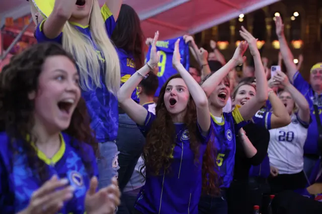 bosna i hercegovina, svetsko prvenstvo u fudbalu