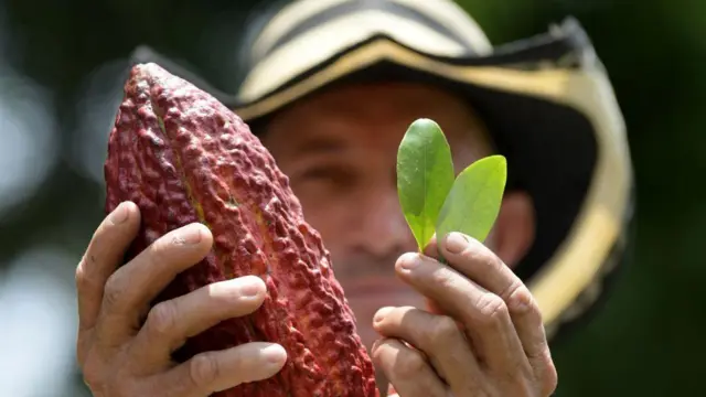 Campesino colombiano sostiene un fruto de cacao y una hoja de coca.