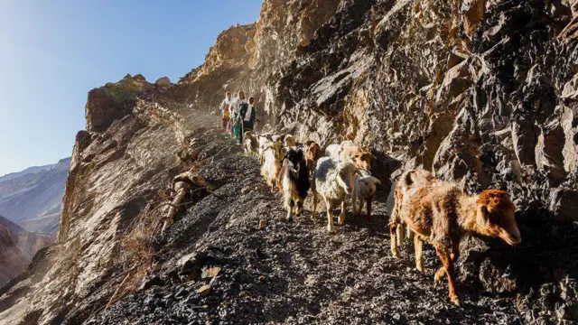 Mulheres e seu rebanho caminhando por uma trilha estreita e acidentada na montanha