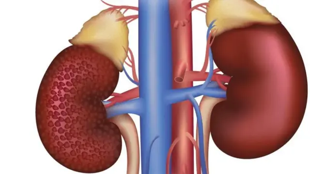 ఆరోగ్యం