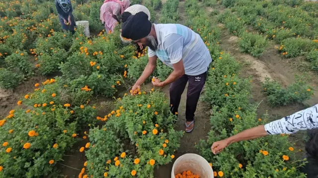 ਸੁਖਦੀਪ ਸਿੰਘ