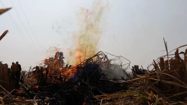 ਪਰਾਲ਼ੀ ਨੂੰ ਅੱਗ