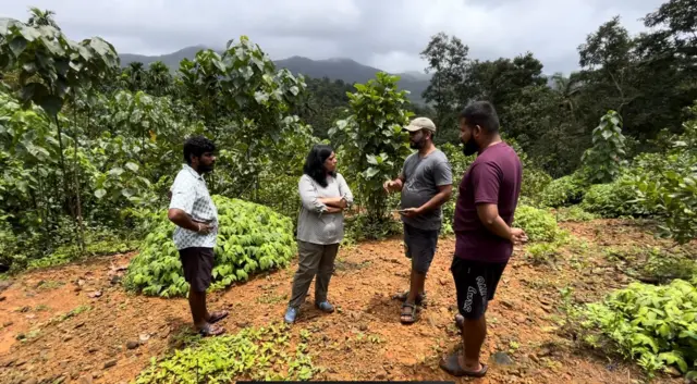दोडामार्ग