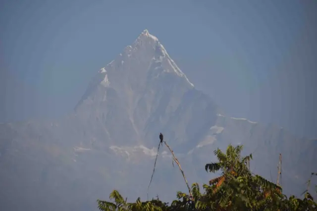 हिउँदे वर्षा नहुँदा हिमालहरू नाङ्गा पहाडमा परिणत भएका विज्ञहरूले बताएका छन्, यो माछापुच्छ्रे हिमालको दृश्य हो