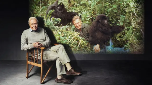 David Attenborough siedzący na krześle. W tle ujęcie z serialu 'Życie na Ziemi', ukazujące młodszego Attenborough w towarzystwie dwóch młodych goryli 