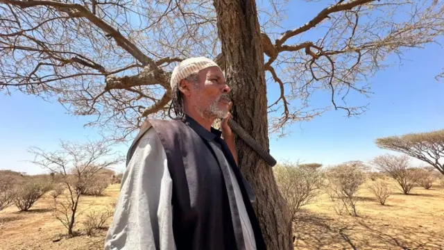 صورة لرجل يقف وسط غابة بجوار شجرة كبيرة، وفي يده اليمنى فأس يستخدمها أثناء العمل في الغابة