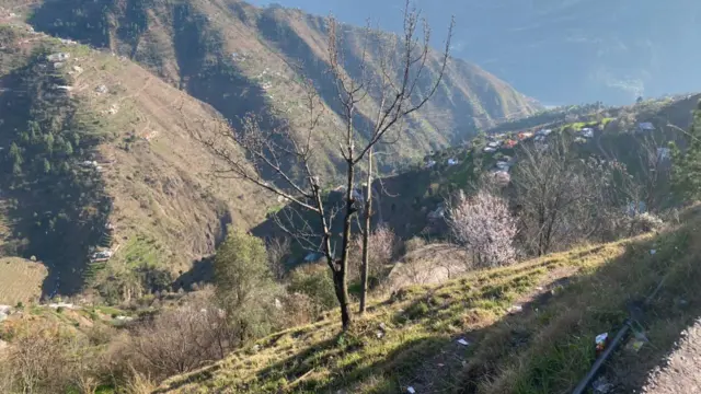 کشمیر