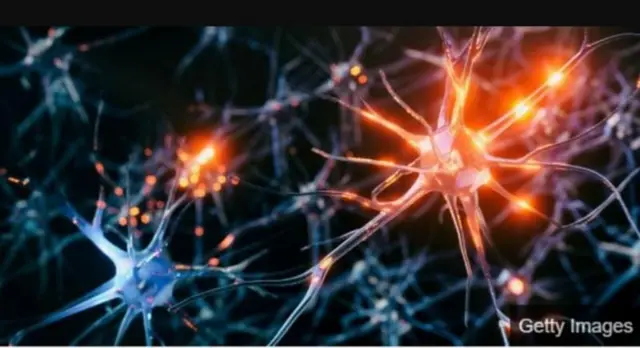 శరీర కణాలు