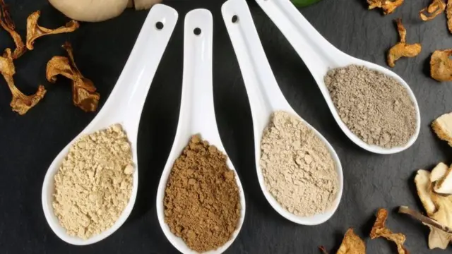 Les champignons médicinaux sont des extraits vendus sous forme de suppléments ou de poudres.