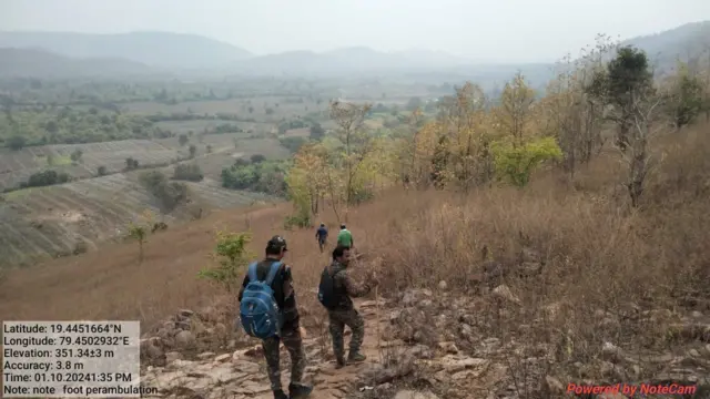 టైగర్స్