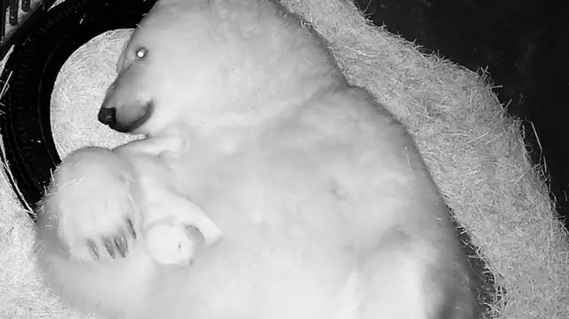 Nur deitada sobre a mãe Aurora