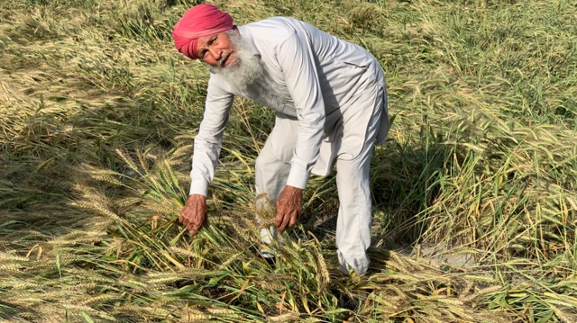 ਬਾਰਿਸ਼ ਤੇ ਗੜ੍ਹੇਮਾਰੀ