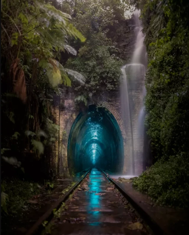 Жаркырак конуздардын мегаполиси