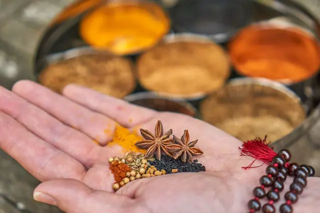 भारतीय मसला 