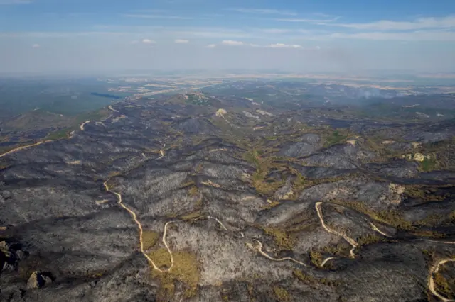 Meriç bölgesindeki yangınlar sürüyor