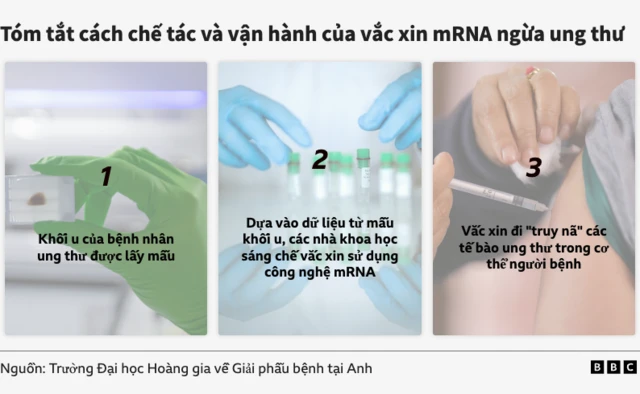 vắc xin vắc xin