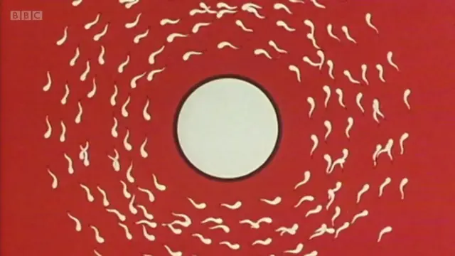 Muri kino gihe, abashakashatsi baracarondera kumenya ibiranga izi 'proteines' basanze inyuma ku ntanga (surface cellulaire) bakeka ko ari zo zizifasha guhembera no kumenya iyo zerekeza, kwihuza n'irigi, ndetse zigafasha izi mbuto zompi kwibumbira mu rusoro rumwe (fusion).