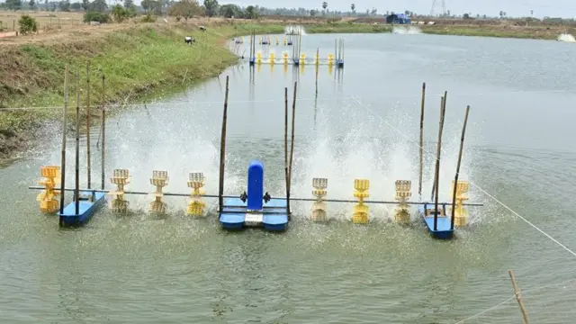 పెట్రోల్, డీజిల్, కొరత, ఇంధనం, వ్యవసాయం, చేపలు, రొయ్యలు, రైతులు, పంట, కూలీలు, గోదావరి జిల్లాలు