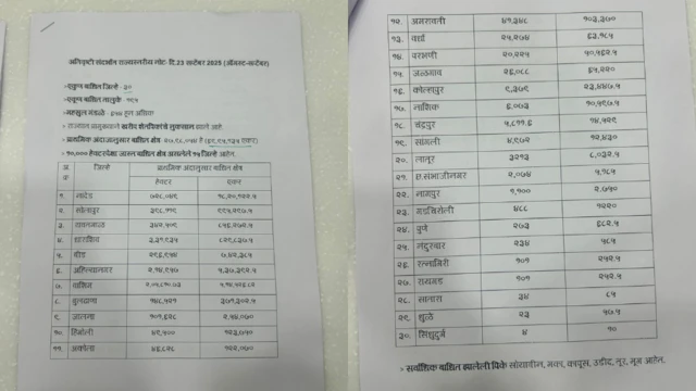 पावसाचा राज्यातील 30 जिल्ह्यांना मोठ्या प्रमाणात फटका बसला आहे.
