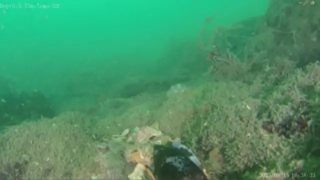 మహాబలిపురం, తమిళనాడు, పురావస్తు శాఖ, పురాతన ఆలయం