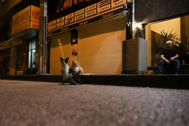Gece bir kaldırımda iki kedi. Arkada bir adam tek başına oturuyor.
