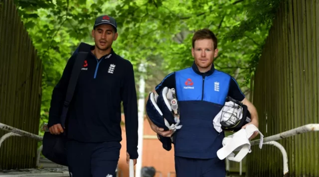 એલેક્સ હેલ્સ﻿