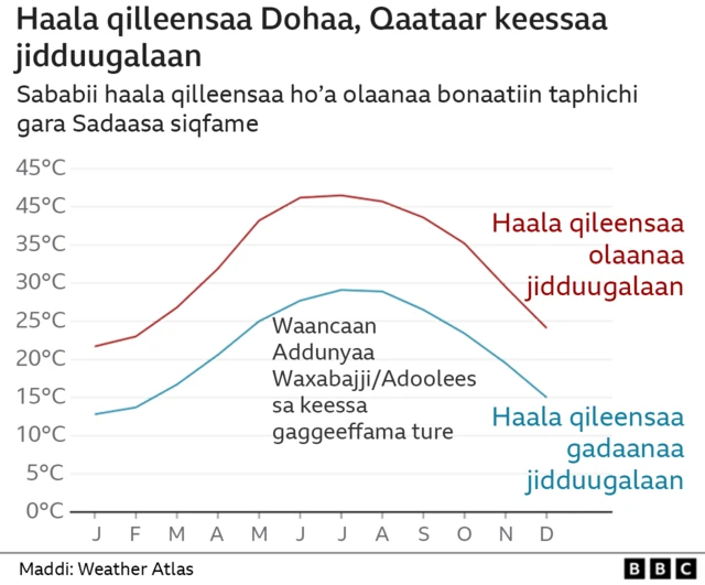 Haala ho'a qilleensaa Qaataar