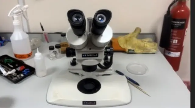 А. Сартбаева: Изилдөө учурунда ар бир өзгөрүүнү, ар бир каждамды каттап, жазып турабыз...