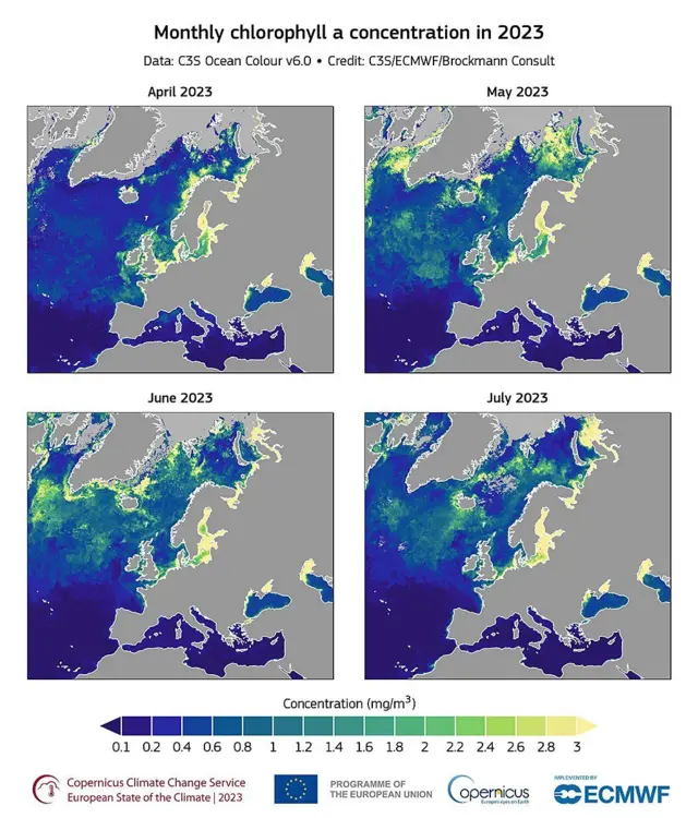 நிறம் மாறி வரும் பெருங்கடல்கள் - காரணம் ஏன்?