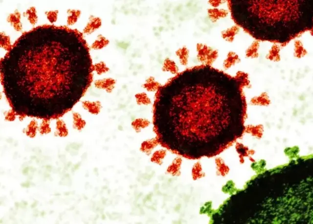 Illustration artistique du virus du Covid