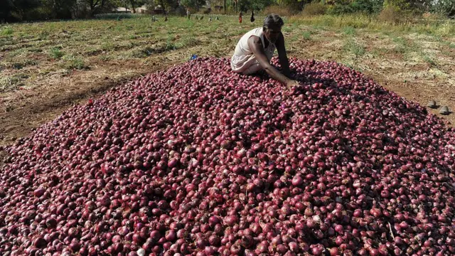 ગરીબોની કસ્તૂરી, ડુંગળી, ગુજરાત, ગુજરાતમાં ખેતી, રાજકોટ, જૂનાગઢ, ડુંગળીના ભાવ