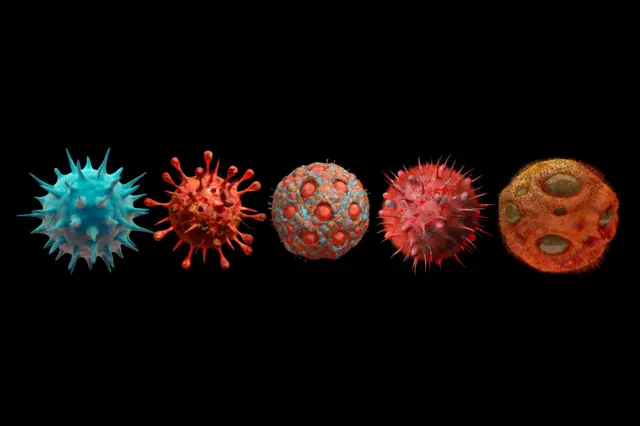 थंड हवामानामुळे सर्दी होते का?