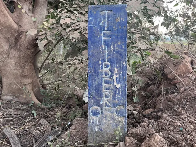 టీ-ఫైబర్