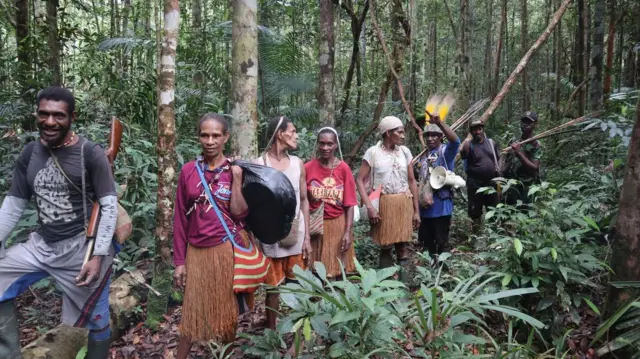 papua, lingkungan, hutan