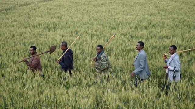 Namoota oyiruu qamadii keessa deemaa jiran