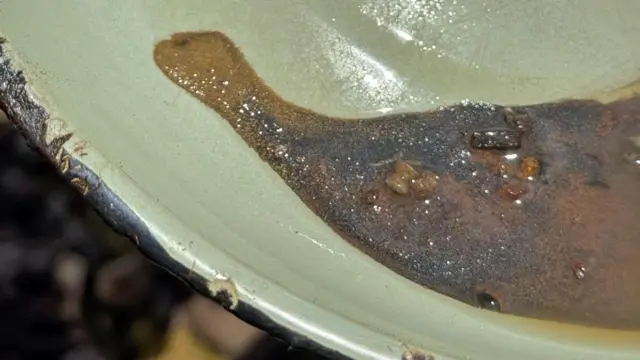 ਸੋਨਾ ਲੱਭਣ ਦੀ ਪ੍ਰਕਿਰਿਆ